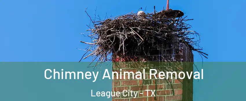  Chimney Animal Removal League City - TX