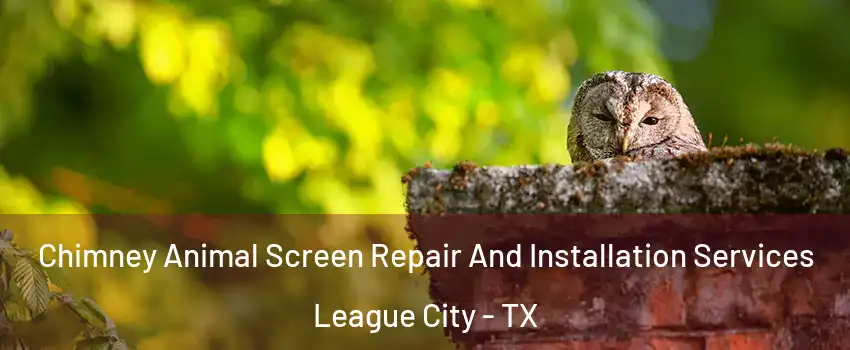  Chimney Animal Screen Repair And Installation Services League City - TX