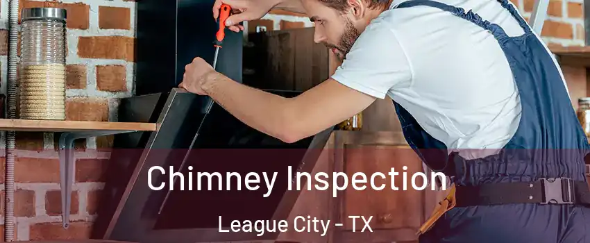  Chimney Inspection League City - TX