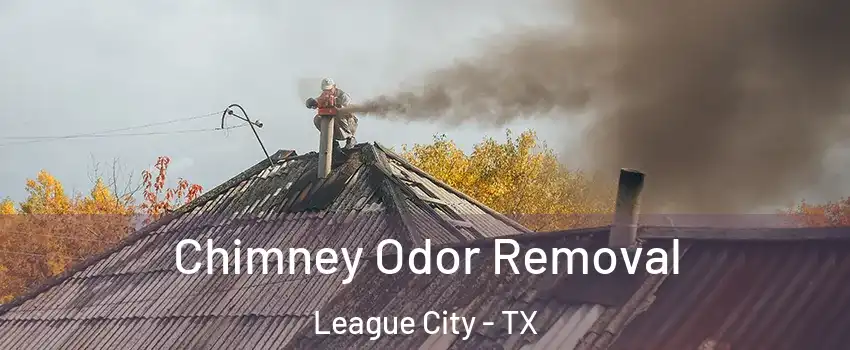  Chimney Odor Removal League City - TX