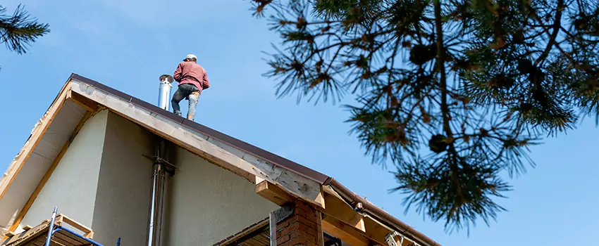 Birds Removal Contractors from Chimney in League City, TX