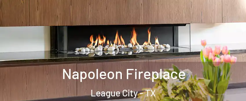  Napoleon Fireplace League City - TX
